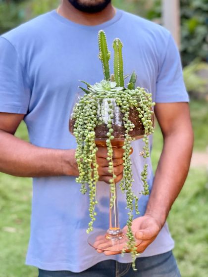 Greenhouse - Living Botanical Art & Arrangements Miniature Living Worlds photo 3