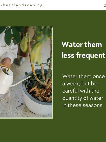A key tip for plant care is to adjust watering frequency based on the season. Most indoor plants require less water in cooler, darker months to prevent root rot.