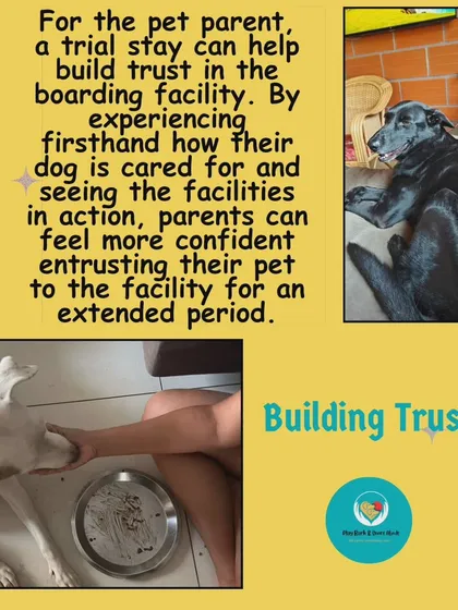 A trial stay is for your peace of mind, too. Seeing firsthand how your dog is cared for and how they adapt to the facility helps you build trust and feel confident leaving them with me.