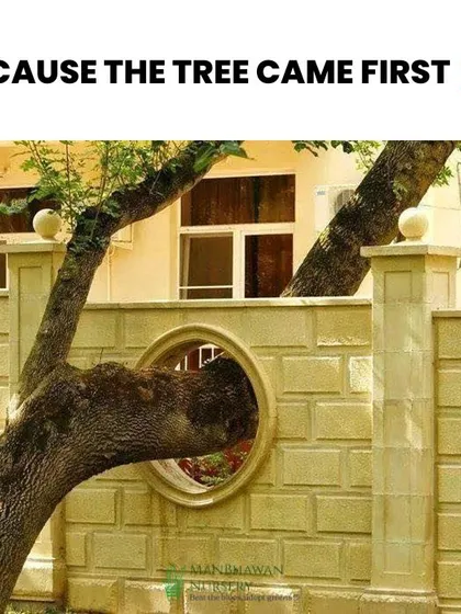 This image, showing a wall built around a tree trunk, is a testament to the principle that nature came first. It's a simple act of respect that results in a much more interesting and soulful garden design.