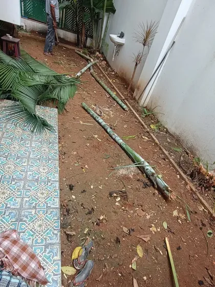 Before the work began: a narrow, cluttered side yard with debris and uneven ground. This space had a lot of untapped potential.