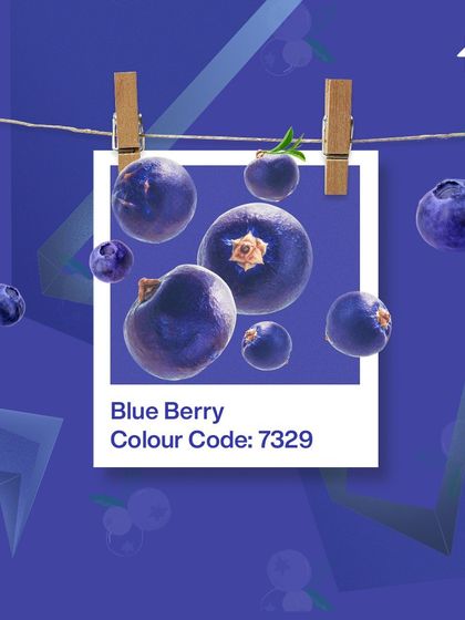 Paint My Walls - Painting Services Free Color Consultation & Inspiration photo 102