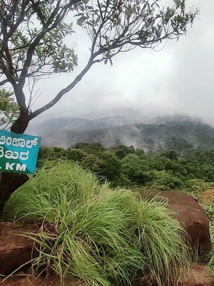 The 7 km marker on the Kurinjal peak trail, a welcome sight for trekkers making their way to the summit.
