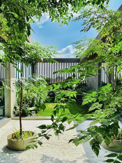 A view looking up through the foliage in the office courtyard. The leaves of the trees frame the sky, creating a living canopy that connects the enclosed space with the open air.