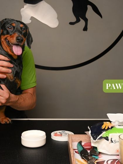 Tails of the City - Pet Spa & Creative Styling The Ultimate Spa Experience photo 23