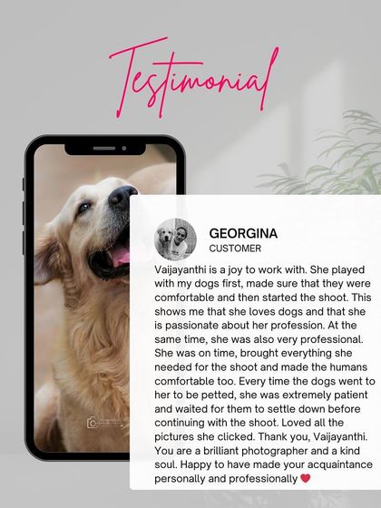 A testimonial from Georgina, who appreciated my professionalism and the patient, loving way I interacted with her dogs.