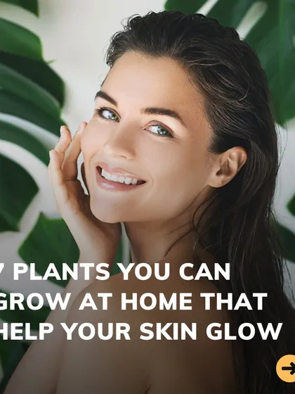 Did you know you can use plants for skincare? This introduces our series on 7 plants you can grow at home that help your skin glow.