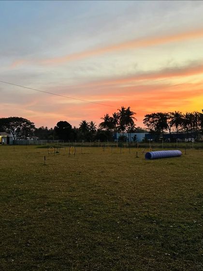 The Pawsome Camp - Dog Daycare & Boarding The Pawsome Playground: 2 Acres of Freedom photo 38