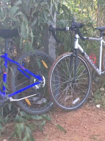 A mountain bike and a road bike resting together in the woods. Our group is a mix of all kinds of cyclists and bikes.
