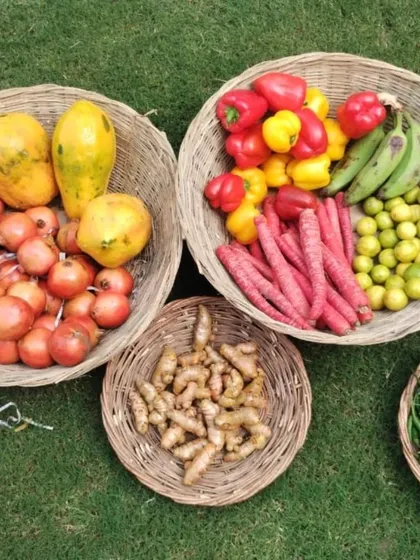 Baskets of colourful produce including papayas, bell peppers, red carrots, and raw bananas.
