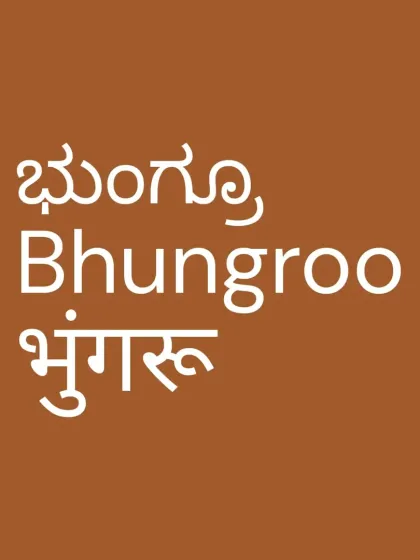 Bhungroo, a term from Gujarat, represents a powerful water management technique. We are proud to implement such smart, traditional solutions on our farms.