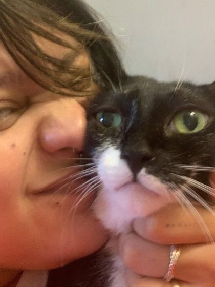 Another selfie with the handsome Bailey. I send lots of pictures like this to parents so they can see their cat is getting plenty of love.