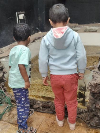A gallery from our day at the aquarium. The children's faces light up with wonder as they observe the magic of underwater life, from colorful fish to starfish.