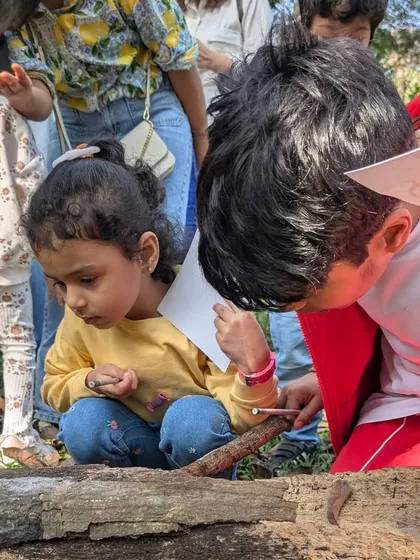 Two children crouching down to get a closer look at something on a log. This is what exploration is all about: getting low to the ground and discovering hidden worlds.