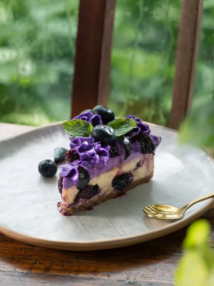 A slice of vibrant blueberry cheesecake against a natural, green background. The color contrast makes the purple of the blueberries pop.