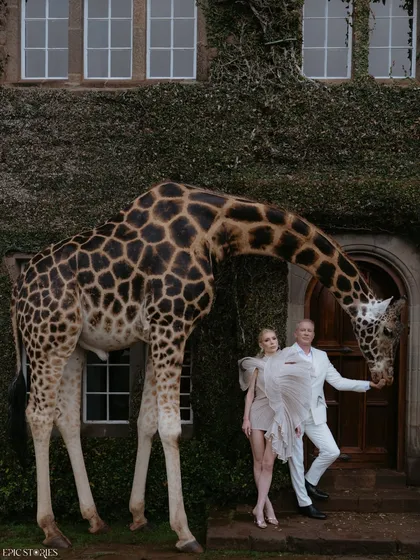 Some wedding shoots are more than just a job; they are adventures. At Giraffe Manor in Kenya, we didn't just take photos. We shared quiet mornings with Monica and Nate as these gentle creatures became a part of their love story. This is the kind of destination wedding photography that stays with you forever.