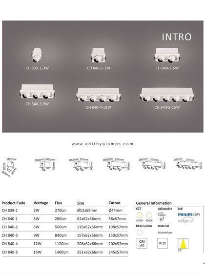 A duplicate of image 40, this is the product catalog page for our 'Intro' series of recessed architectural lights, with full specifications.