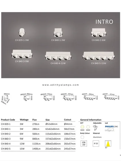 A duplicate of image 40, this is the product catalog page for our 'Intro' series of recessed architectural lights, with full specifications.