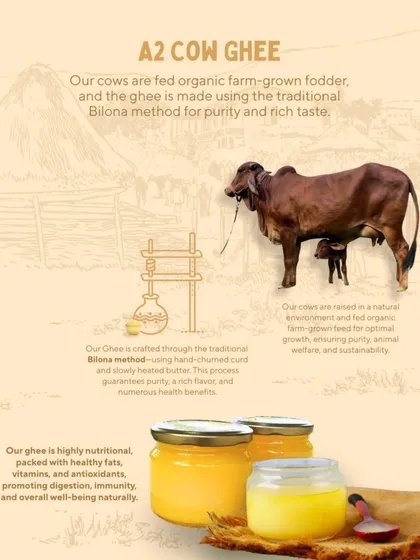 We craft our A2 Cow Ghee using the traditional Bilona method for unmatched purity and taste. Our cows are raised in a natural environment and fed organic, farm-grown fodder, which makes all the difference.