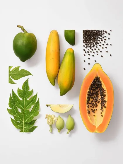 This image from my 'Food Family Portrait' series breaks down the papaya. It shows the fruit at different stages of ripeness and deconstructs it into its core visual elements for a clean, graphic presentation.