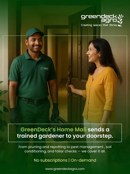 Getting expert plant care is now as easy as ordering food. Our trained and verified Home Mali arrives at your doorstep, ready to provide everything from pruning and repotting to pest management.