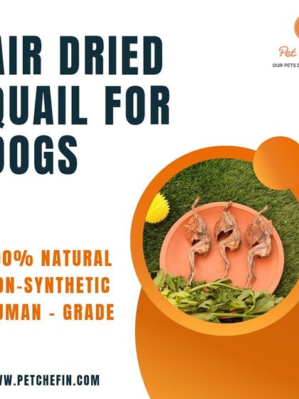 Our air-dried quail is a nutrient-rich, novel protein that's perfect for dogs. It's packed with lean protein, essential fatty acids, and vitamins for a healthy immune system.