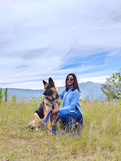 Posing for a picture in a beautiful landscape. A solid "sit-stay" is a practical skill that comes in handy for everything from safety to getting the perfect photo.