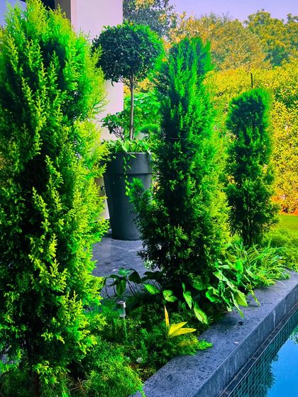 Poolside Retreats photo 11