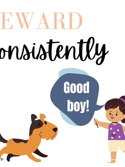 Every time your dog comes back to you, reward them like they just won the lottery! This makes them think that returning to you is the best thing they could possibly do.