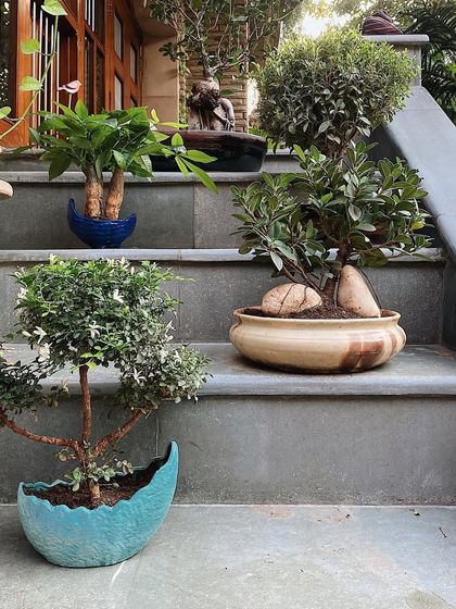 Garden & Entrance Transformations photo 9