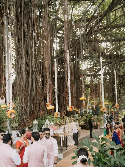 A wider view of the banyan tree decor, showing how we transformed the entire area into an enchanting space for a wedding ceremony.