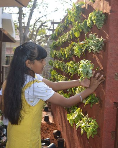 Vertical Gardens