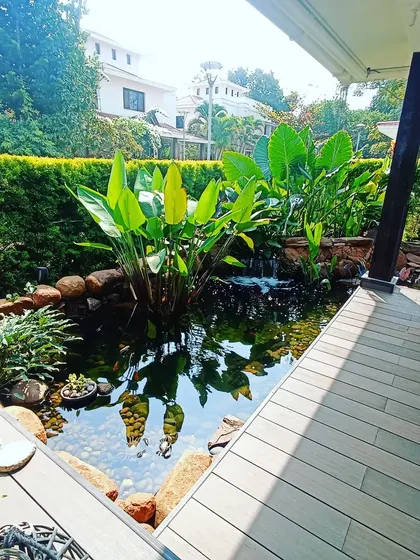 I design and build custom koi ponds that become the tranquil centerpiece of a garden. This natural-style pond is surrounded by a wooden deck, river stones, and water-loving plants, creating a perfect spot for relaxation.