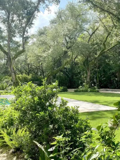 A sprawling, naturalistic garden with mature trees providing a gentle canopy over a wide lawn. This design style mimics a woodland setting, creating a peaceful and established feel.