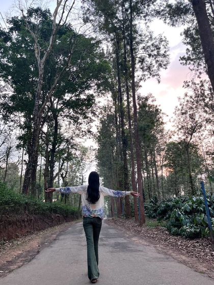 A feeling of freedom and connection, walking with open arms down a forest road. Nature invites us to be open and receptive.
