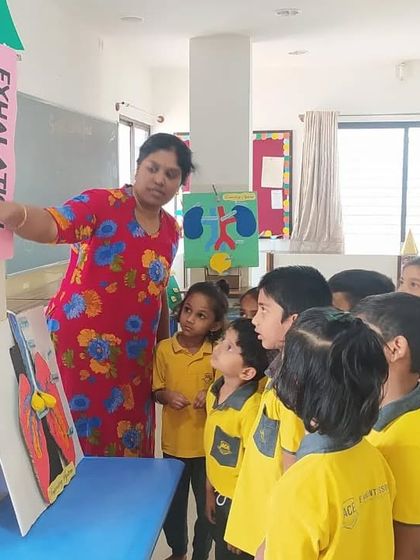 Ace Montessori - Montessori Preschool Program Exploring Our World: Science & Geography photo 15