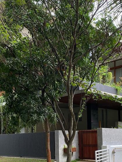 Chandrakant S. Kanthigavi - Architectural Design Homes That Breathe: The House of Greens photo 126