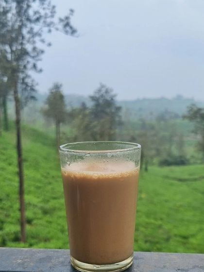 A hot cup of chai against the backdrop of Wayanad's green hills. The perfect way to relax after a day of exploring.