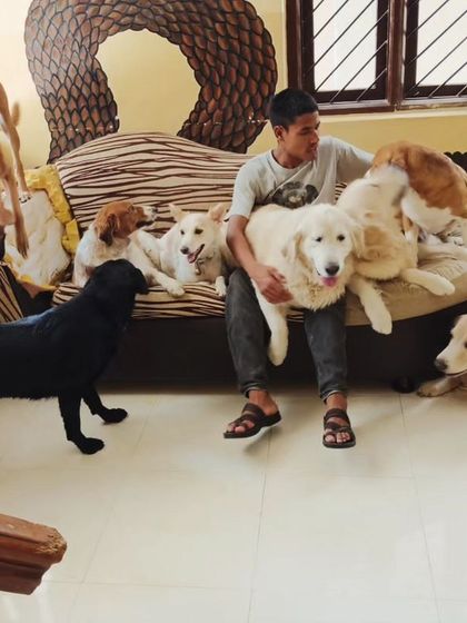 A lap full of dogs is a happy lap.