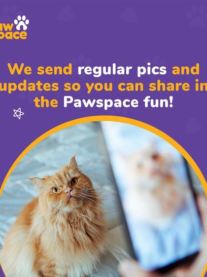 PawSpace - Pet Boarding & Sitting A Home Away From Home photo 9