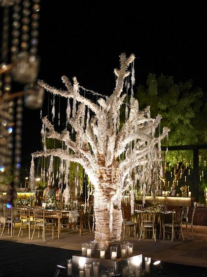 Spectacular Sangeet Nights photo 10