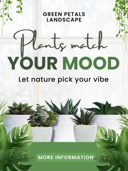 We believe there's a plant to match every mood and style. This graphic highlights our philosophy of helping you find the perfect green companion for your vibe.