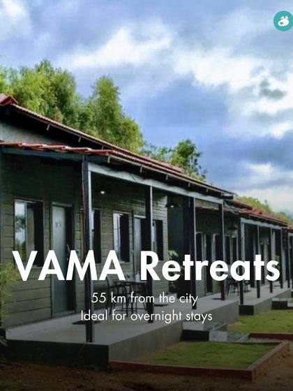 The Pack - Pet-Friendly Adventures & Meetups Pet-Parent Resources: Guides & Tips photo 22