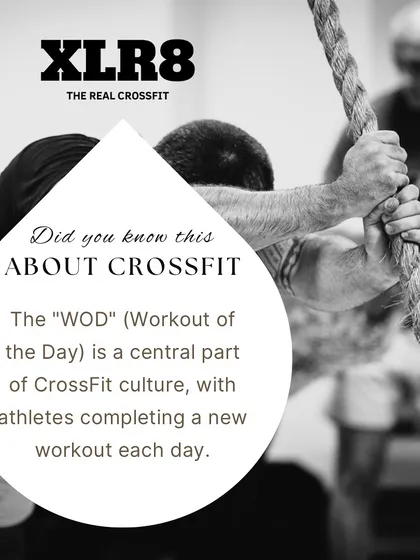 The "WOD" (Workout of the Day) is a central part of our culture. It means a new challenge every day, so you never get bored.