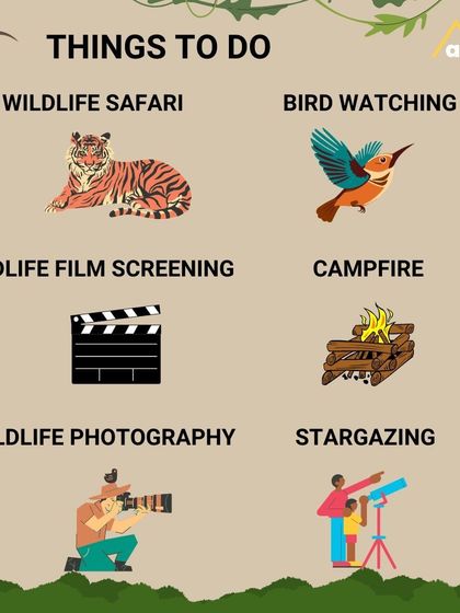 Here's a list of activities you can enjoy at Bandipur Tiger Reserve. It's not just about the safari; it's about the entire wilderness experience, from bird watching to stargazing.