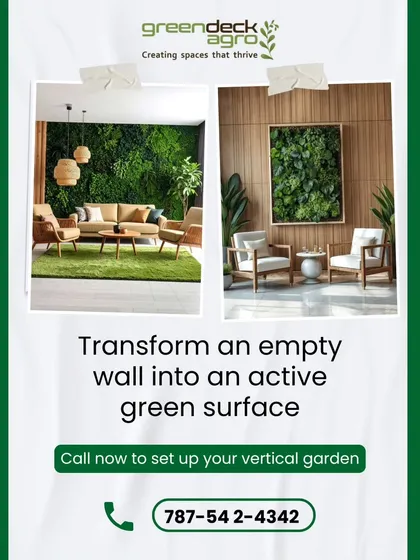 An empty wall is a blank canvas. We can transform it into an active green surface, like the living room bio-wall or the framed garden art shown here, making it a central feature of your interior design.