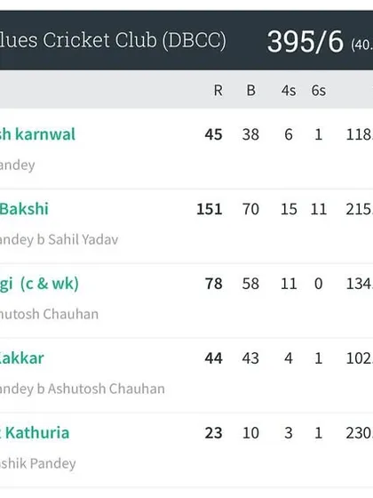 The full batting scorecard showing Delhi Blues' massive total of 395/6.