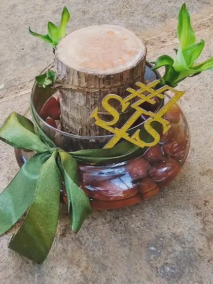 Gift your loved ones the magic of nature this Raksha Bandhan. This Brazilian Wood plant, also known as Lucky Wood, is a thoughtful and enduring gift of good fortune.
