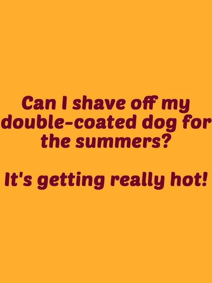 Tail It Easy - Mobile Pet Grooming Pet Parent Pro-Tips photo 17