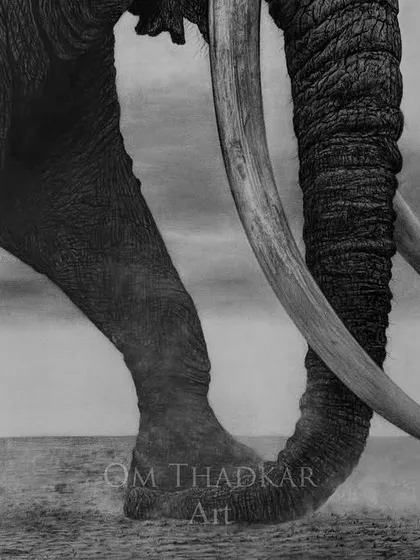 'Endurance' focuses on the foundational strength of the elephant. By concentrating on the legs, trunk, and tusks, I wanted to create a powerful statement on resilience and the raw essence of this magnificent animal.